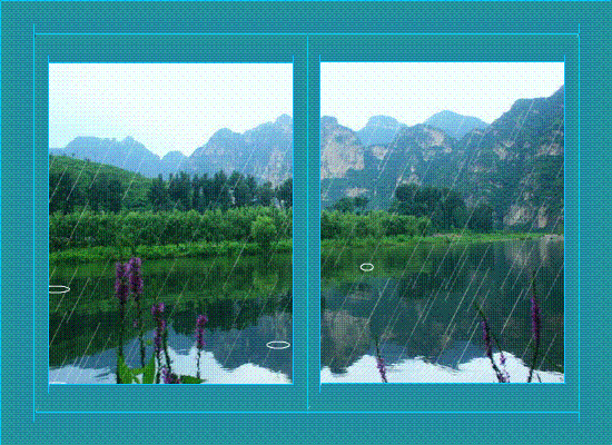 1593586864896004380.jpg 1.jpg